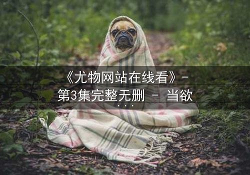 《尤物网站在线看》- 第3集完整无删 - 当欲望与良知在午夜交锋