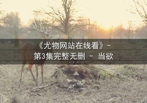 《尤物网站在线看》- 第3集完整无删 - 当欲望与救赎交织,谁能全身而退?