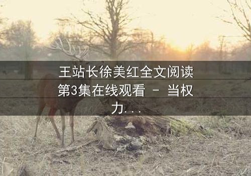 王站长徐美红全文阅读第3集在线观看 - 当权力与爱情交织,谁将揭开隐藏的真相?