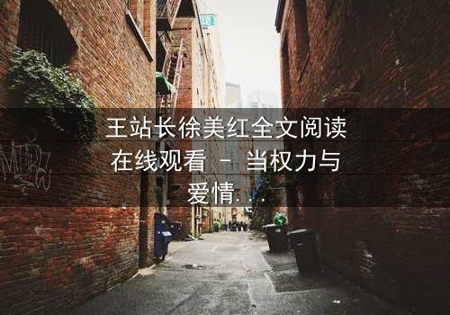 王站长徐美红全文阅读在线观看 - 当权力与爱情交织,谁能全身而退?