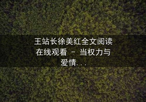 王站长徐美红全文阅读在线观看 - 当权力与爱情交织,谁能全身而退?