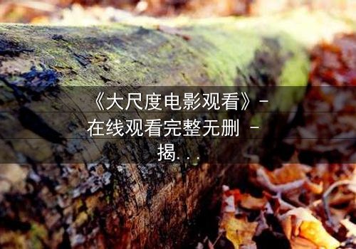 《大尺度电影观看》- 在线观看完整无删 - 揭开人性最隐秘的角落