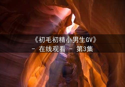 《初毛初精小男生GV》- 在线观看 - 第3集