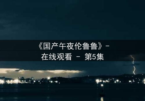 《国产午夜伦鲁鲁》- 在线观看 - 第5集