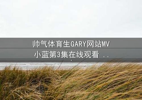 帅气体育生GARY网站MV小蓝第3集在线观看 - 当汗水与泪水交织,谁能守住青春的誓言?