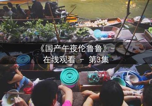 《国产午夜伦鲁鲁》- 在线观看 - 第3集