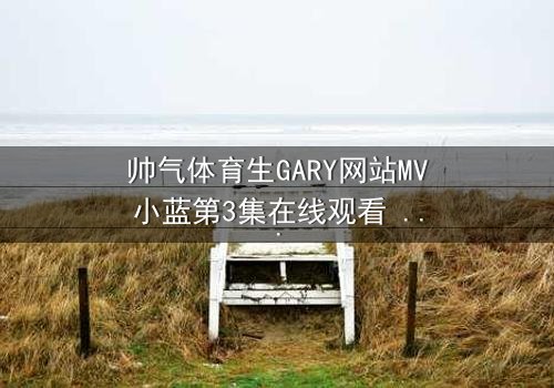 帅气体育生GARY网站MV小蓝第3集在线观看 - 当汗水与泪水交织,谁将揭开真相?