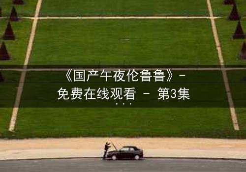 《国产午夜伦鲁鲁》- 免费在线观看 - 第3集HD中字