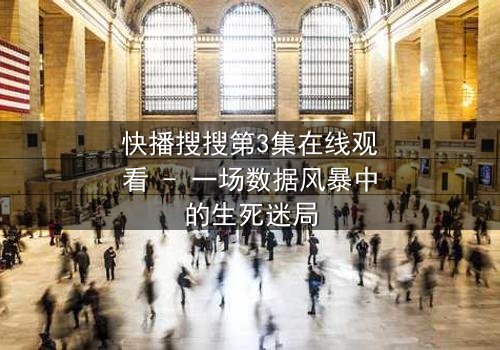 快播搜搜第3集在线观看 - 一场数据风暴中的生死迷局