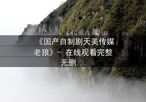 《国产自制剧天美传媒老狼》- 在线观看完整无删 - 一场复仇与救赎的终极对决