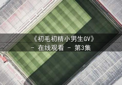 《初毛初精小男生GV》- 在线观看 - 第3集