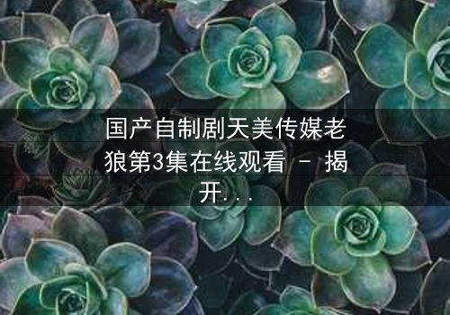 国产自制剧天美传媒老狼第3集在线观看 - 揭开都市暗流中的生死博弈