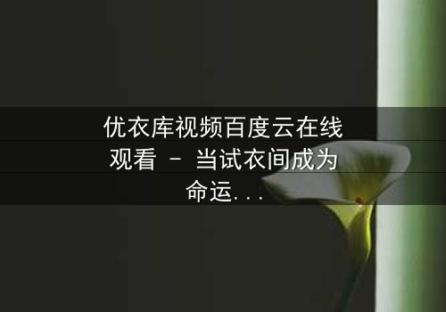 优衣库视频百度云在线观看 - 当试衣间成为命运转折点,你敢点开吗?