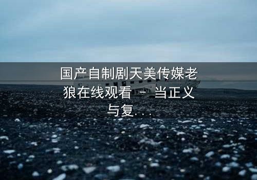 国产自制剧天美传媒老狼在线观看 - 当正义与复仇交织,谁能全身而退?