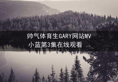 帅气体育生GARY网站MV小蓝第3集在线观看 - 当汗水与泪水交织,谁将揭开隐藏的真相?