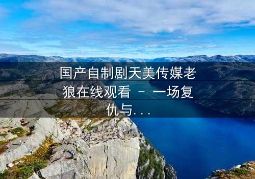 国产自制剧天美传媒老狼在线观看 - 一场复仇与救赎的终极对决