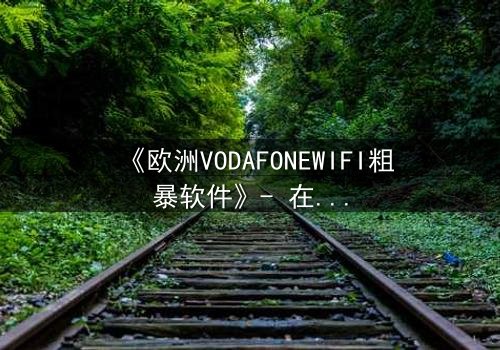 《欧洲VODAFONEWIFI粗暴软件》- 在线观看HD中字 - 揭开数字时代最黑暗的秘密