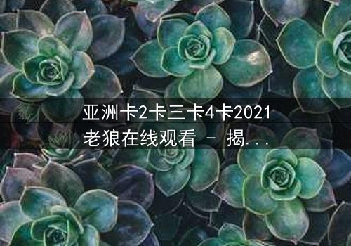 亚洲卡2卡三卡4卡2021老狼在线观看 - 揭秘黑帮暗战,谁将笑到最后?
