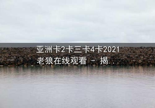 亚洲卡2卡三卡4卡2021老狼在线观看 - 揭秘暗网交易背后的惊天阴谋