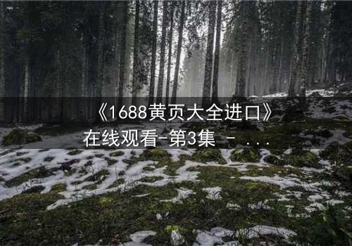 《1688黄页大全进口》在线观看-第3集 - 当秘密交易揭开人性深渊