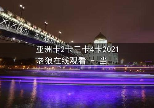 亚洲卡2卡三卡4卡2021老狼在线观看 - 当黑暗交易遇上致命背叛