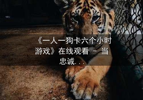 《一人一狗卡六个小时游戏》在线观看 - 当忠诚与生存碰撞,谁能活到最后?