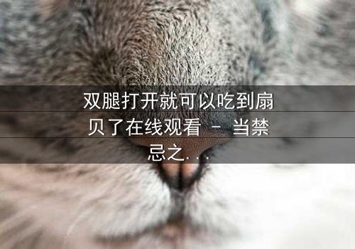 双腿打开就可以吃到扇贝了在线观看 - 当禁忌之门开启,命运之轮悄然转动