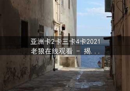 亚洲卡2卡三卡4卡2021老狼在线观看 - 揭秘老狼的终极背叛与救赎