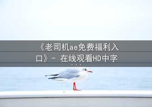 《老司机ae免费福利入口》- 在线观看HD中字完整无删 - 揭开隐藏的免费宝藏