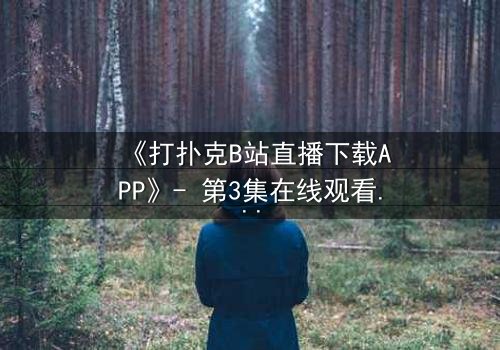 《打扑克B站直播下载APP》- 第3集在线观看 - 一场直播如何颠覆他的命运?