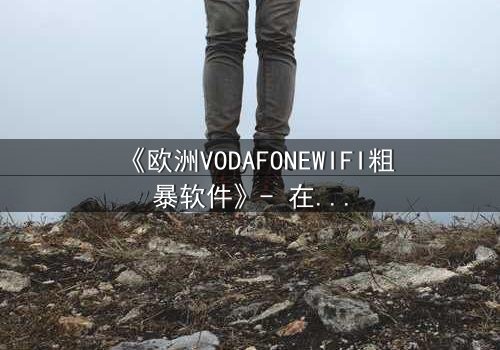 《欧洲VODAFONEWIFI粗暴软件》- 在线观看HD中字 - 揭开数字时代的隐秘风暴