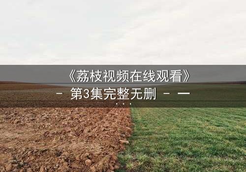 《荔枝视频在线观看》- 第3集完整无删 - 一个隐藏的密码,决定生死命运