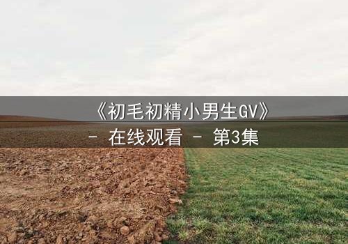 《初毛初精小男生GV》- 在线观看 - 第3集