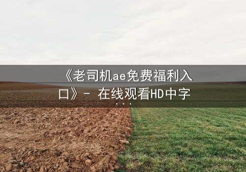 《老司机ae免费福利入口》- 在线观看HD中字完整无删版 - 揭秘隐藏的免费宝藏