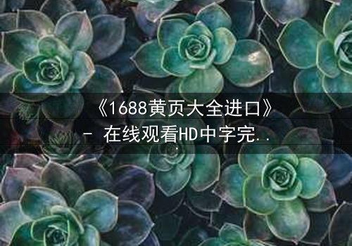 《1688黄页大全进口》- 在线观看HD中字完整无删 - 揭开进口黄页背后的惊天秘密