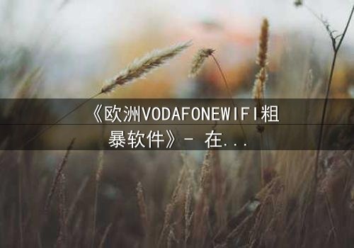 《欧洲VODAFONEWIFI粗暴软件》- 在线观看HD中字 - 当科技入侵隐私,谁能全身而退?