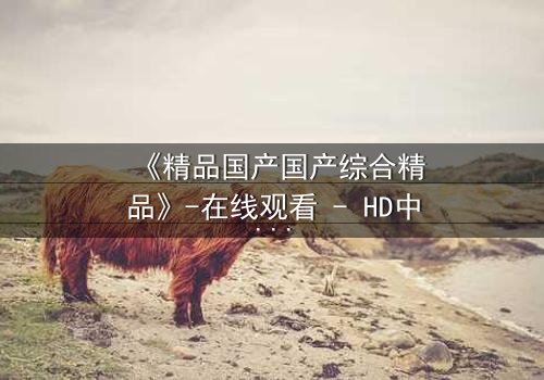 《精品国产国产综合精品》-在线观看 - HD中字免费1080P超清