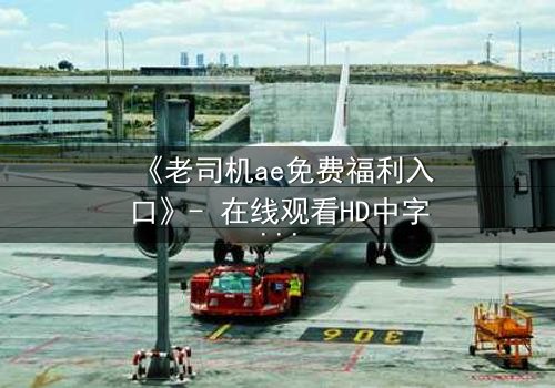 《老司机ae免费福利入口》- 在线观看HD中字完整无删 - 揭秘隐藏的免费宝藏,你敢点开吗?
