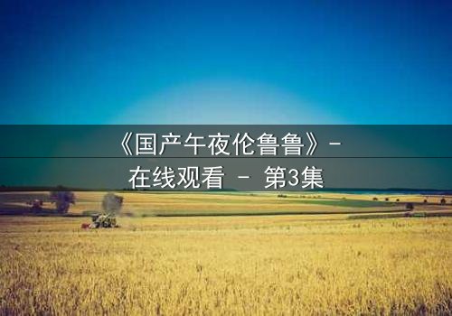 《国产午夜伦鲁鲁》- 在线观看 - 第3集