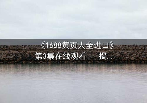 《1688黄页大全进口》第3集在线观看 - 揭开隐藏的跨国阴谋,你敢点开吗?