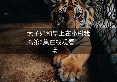 太子妃和皇上在小树我离第3集在线观看 - 一场宫廷虐恋的终极抉择