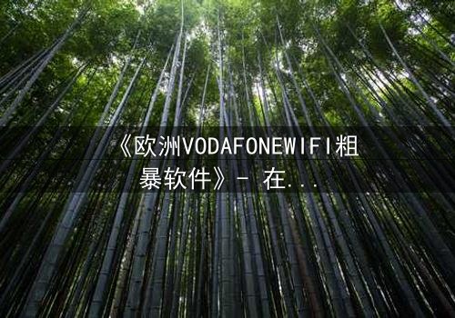 《欧洲VODAFONEWIFI粗暴软件》- 在线观看HD中字 - 揭开数字时代的隐秘风暴
