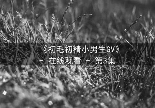《初毛初精小男生GV》- 在线观看 - 第3集