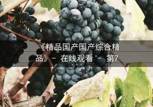 《精品国产国产综合精品》- 在线观看 - 第7集 HD中字