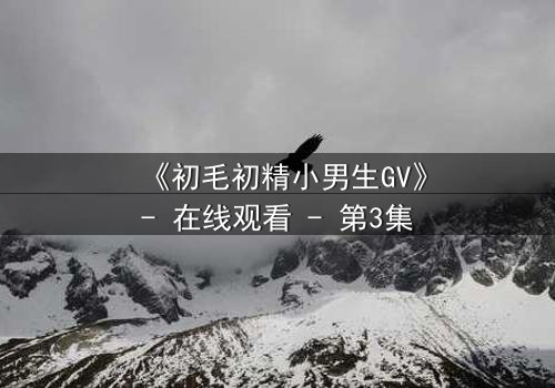 《初毛初精小男生GV》- 在线观看 - 第3集