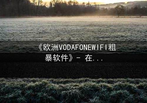 《欧洲VODAFONEWIFI粗暴软件》- 在线观看HD中字 - 揭开数字时代的隐秘风暴