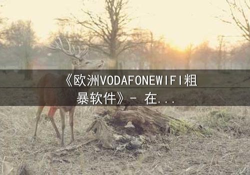 《欧洲VODAFONEWIFI粗暴软件》- 在线观看HD中字完整无删 - 当科技失控,人性何去何从?