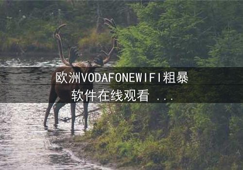 欧洲VODAFONEWIFI粗暴软件在线观看 - 当科技失控,谁在暗中操控你的生活?