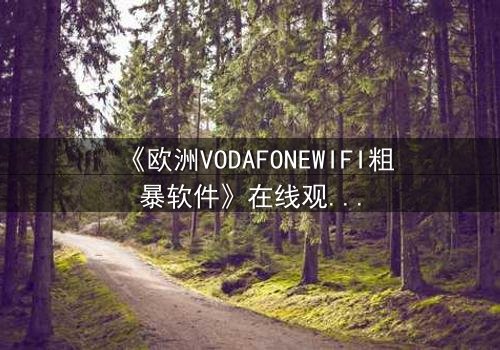 《欧洲VODAFONEWIFI粗暴软件》在线观看HD中字 - 一场数字风暴的惊魂之旅