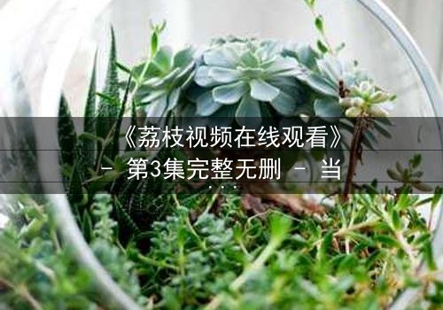 《荔枝视频在线观看》- 第3集完整无删 - 当爱情与阴谋交织,谁才是真正的赢家?